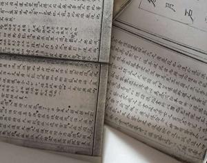 醫(yī)學(xué)古書(4)